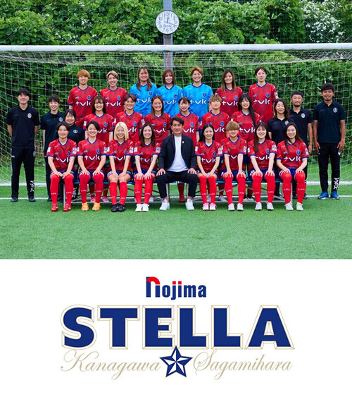 ノジマステラ神奈川相模原