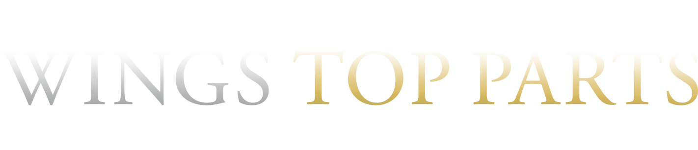 RAKUWAネックレス ウイングス トップパーツ