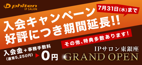 IPサロン 東銀座店キャンペーンページ