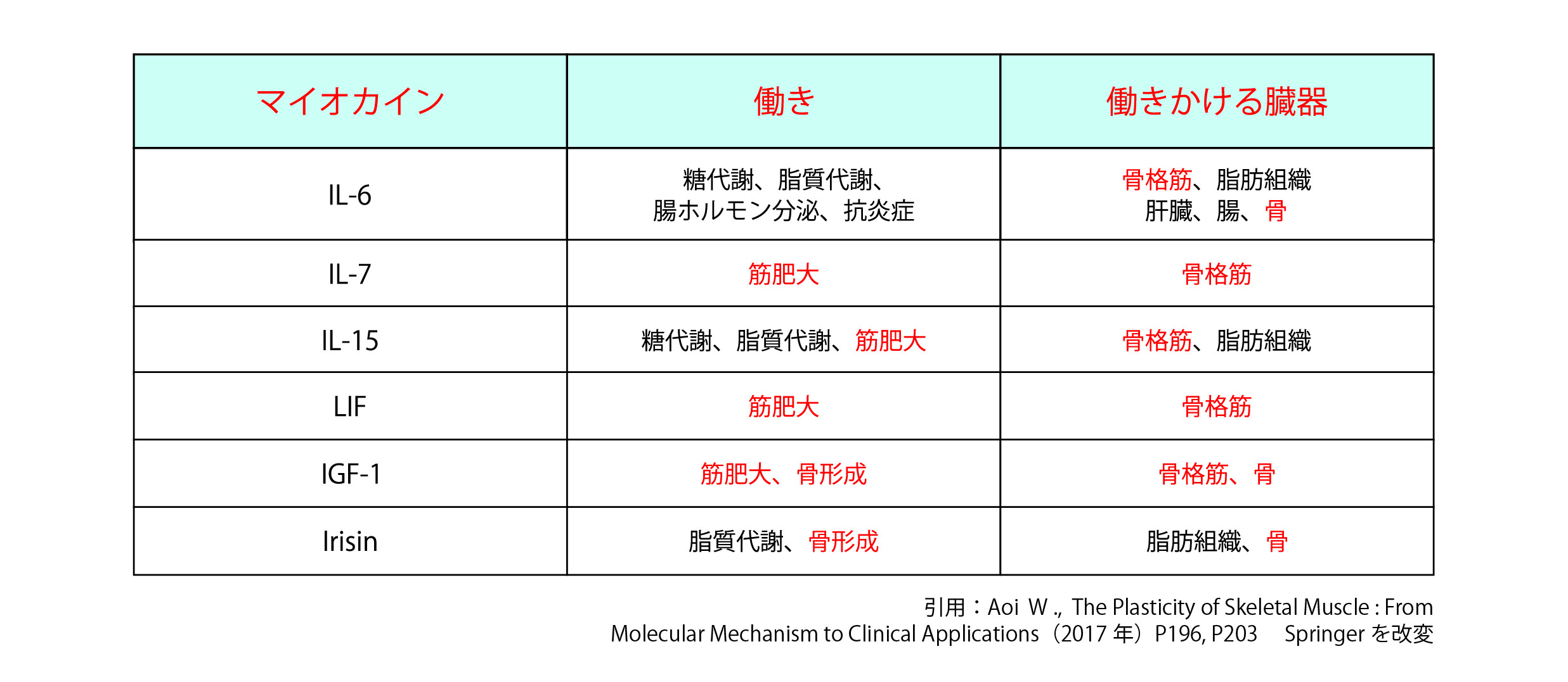 aoicolumn_07.jpg