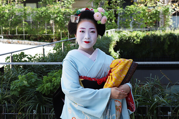 maiko2311_img01.jpg