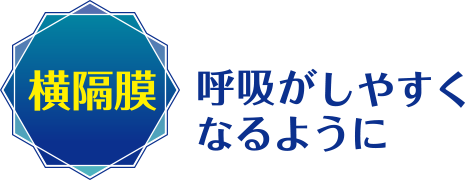 横隔膜：呼吸がしやすくなるように