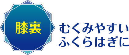 膝裏：むくみやすいふくらはぎに