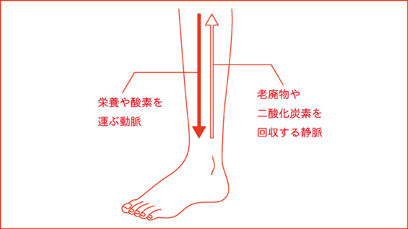 ストレッチは疲労回復に役立つ