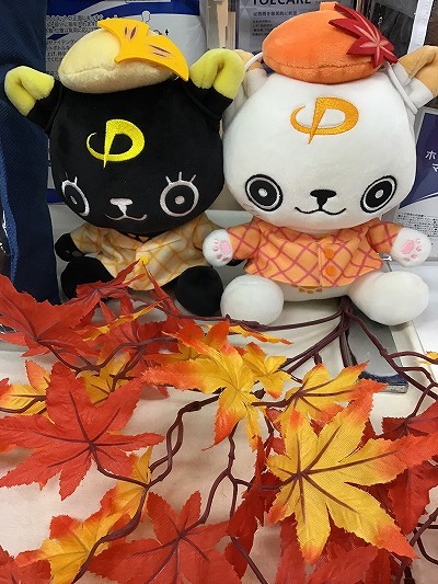 あさってから ショップニュース ファイテンショップ 渋谷東口店 ショップ情報 ファイテン株式会社 Phiten